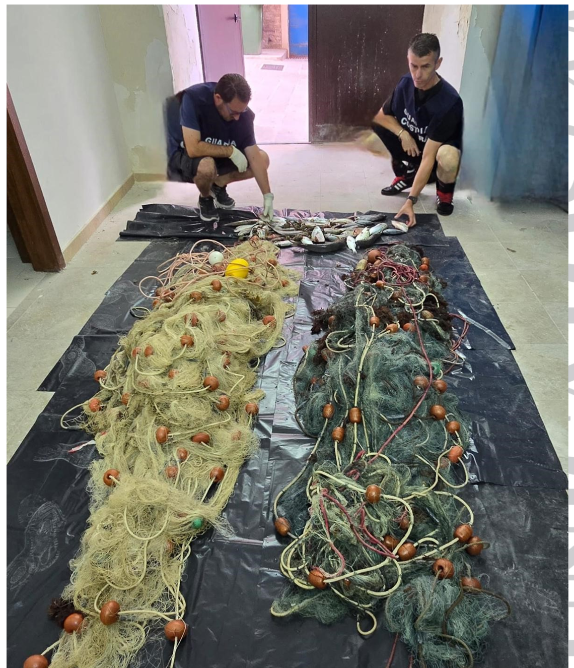 La rete da pesca sequestrata dalla Guardia costiera a Bisceglie