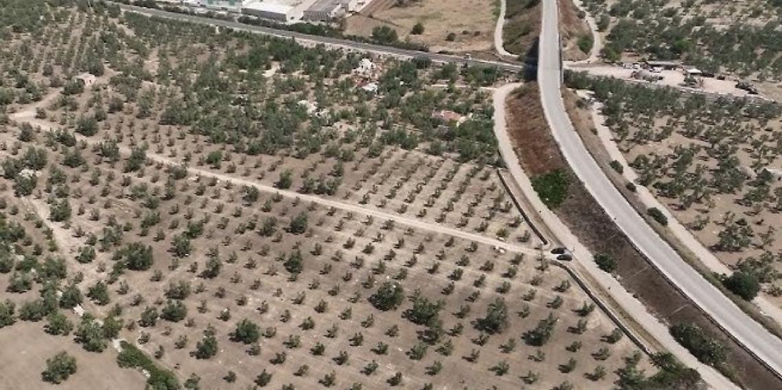 L'area dove sorgerà il nuovo ospedale di Bisceglie-Molfetta
