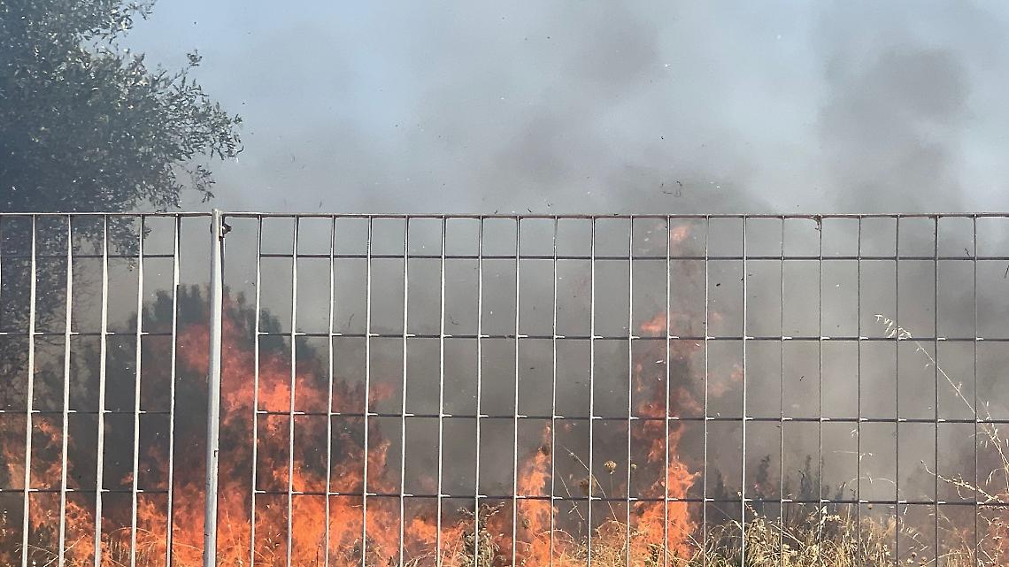 Incendi, estate di devastazione: già bruciati 6.941 ettari. Taranto è la seconda provincia più colpita