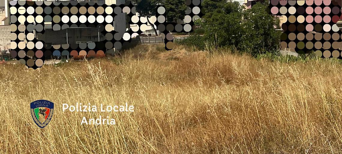 Stop agli incendi sui terreni incolti ad Andria - foto della Polizia Locale