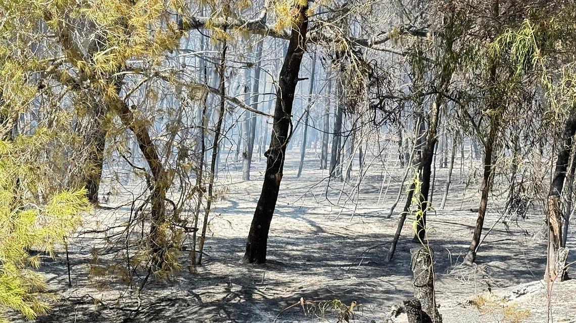 Lido Azzurro dopo le fiamme - foto di Francesco Manfuso
