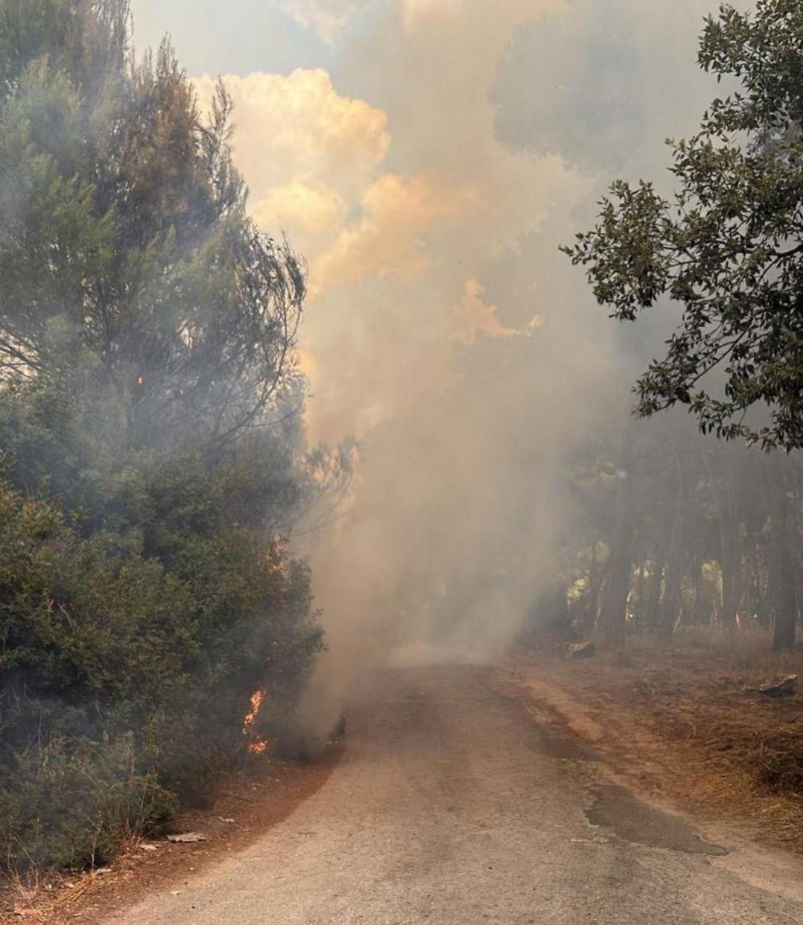 L'incendio a Lido Silvana - foto di Francesco Manfuso