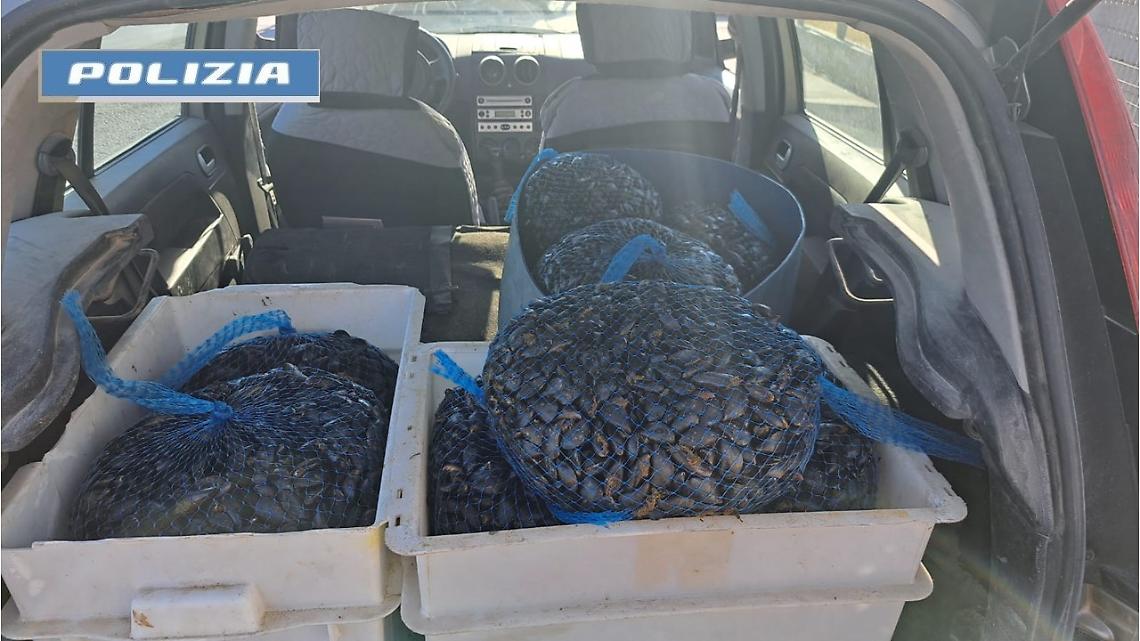 Le cozze sequestrate dalla Polizia di Stato