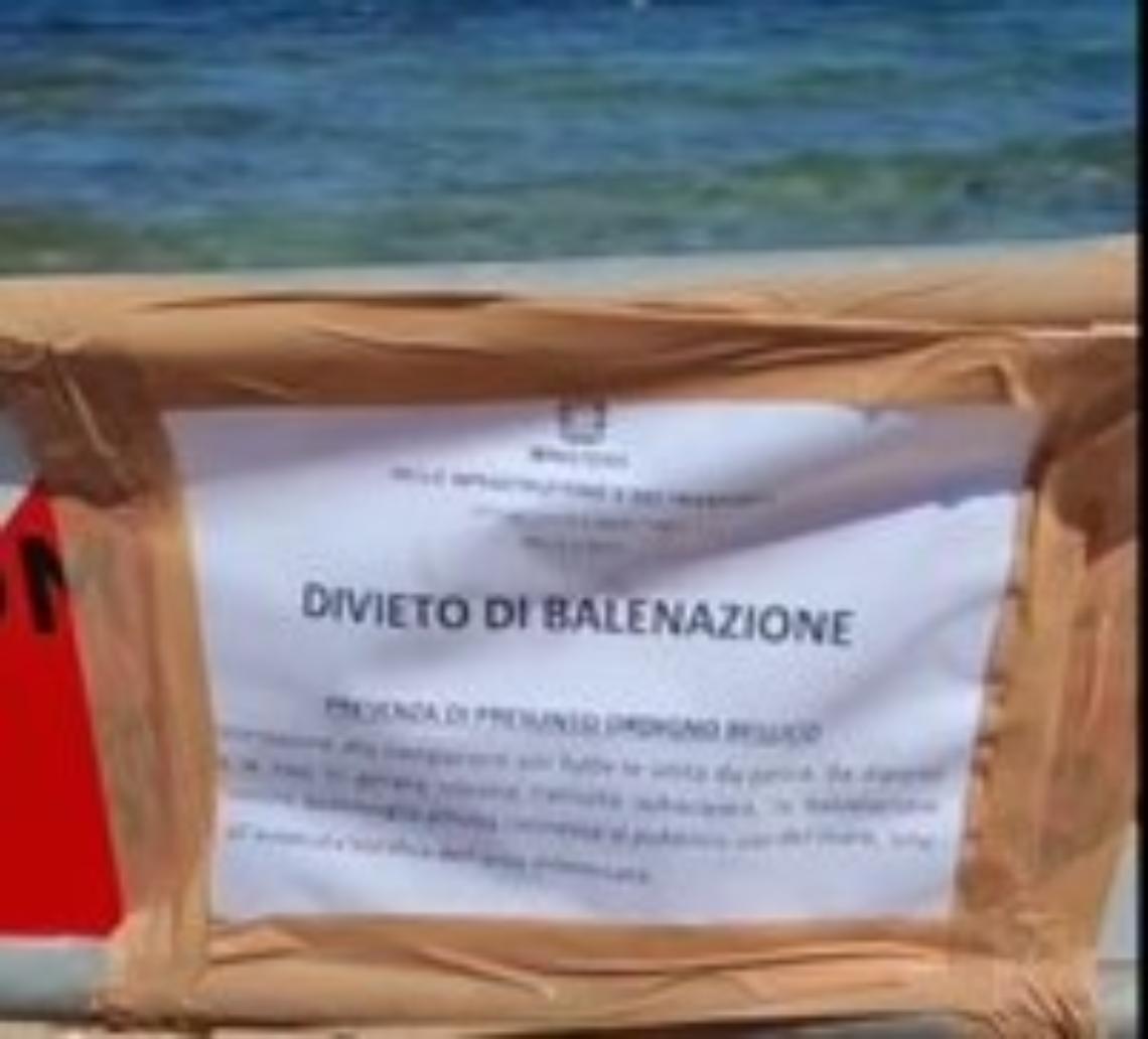 Il divieto di balneazione a Mola di Bari