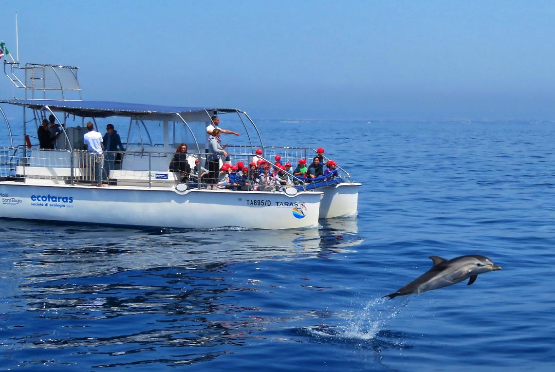 Minori con disabilità o con importanti disturbi evolutivi specifici potranno vedere i delfini nuotare liberi in mare