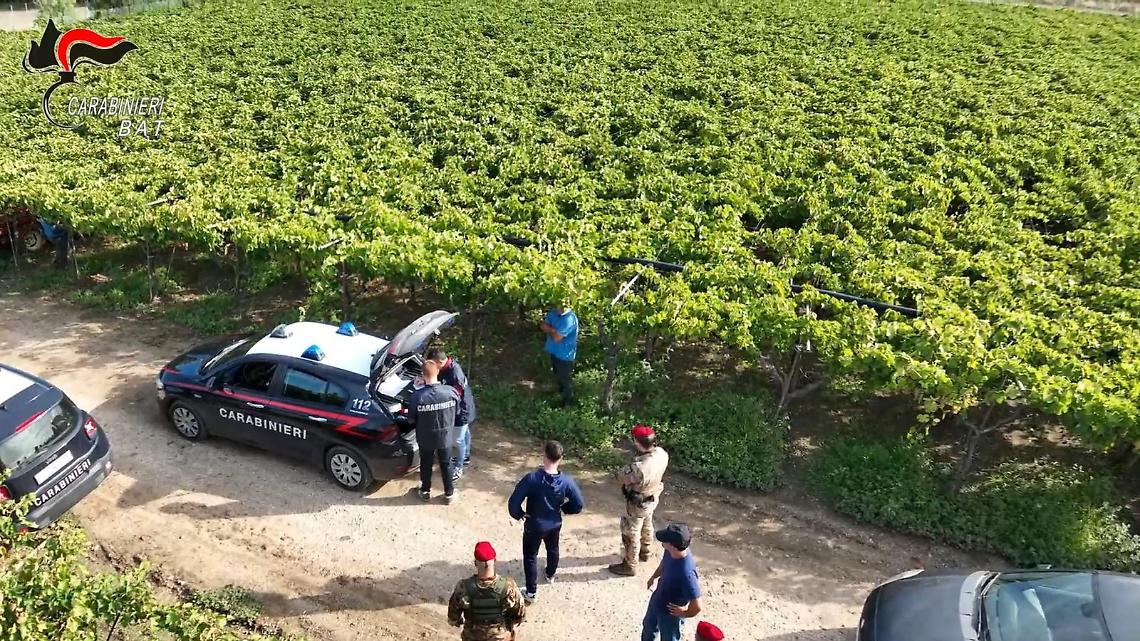 Blitz anticaporalato dei carabinieri Bat