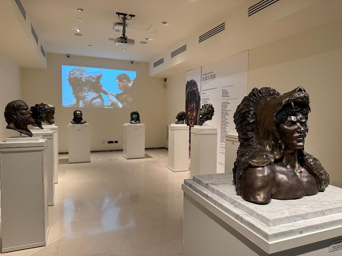"Rara Avis", la mostra al Museo MArTA di Taranto