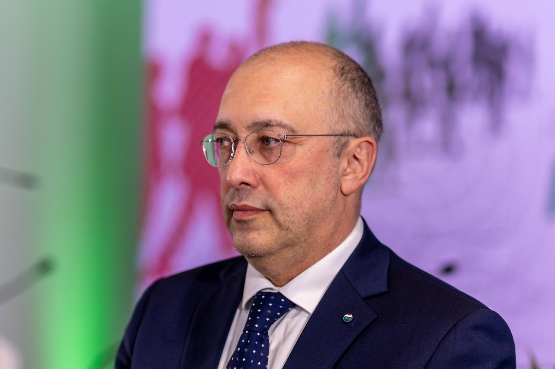 Luigi Spinzi