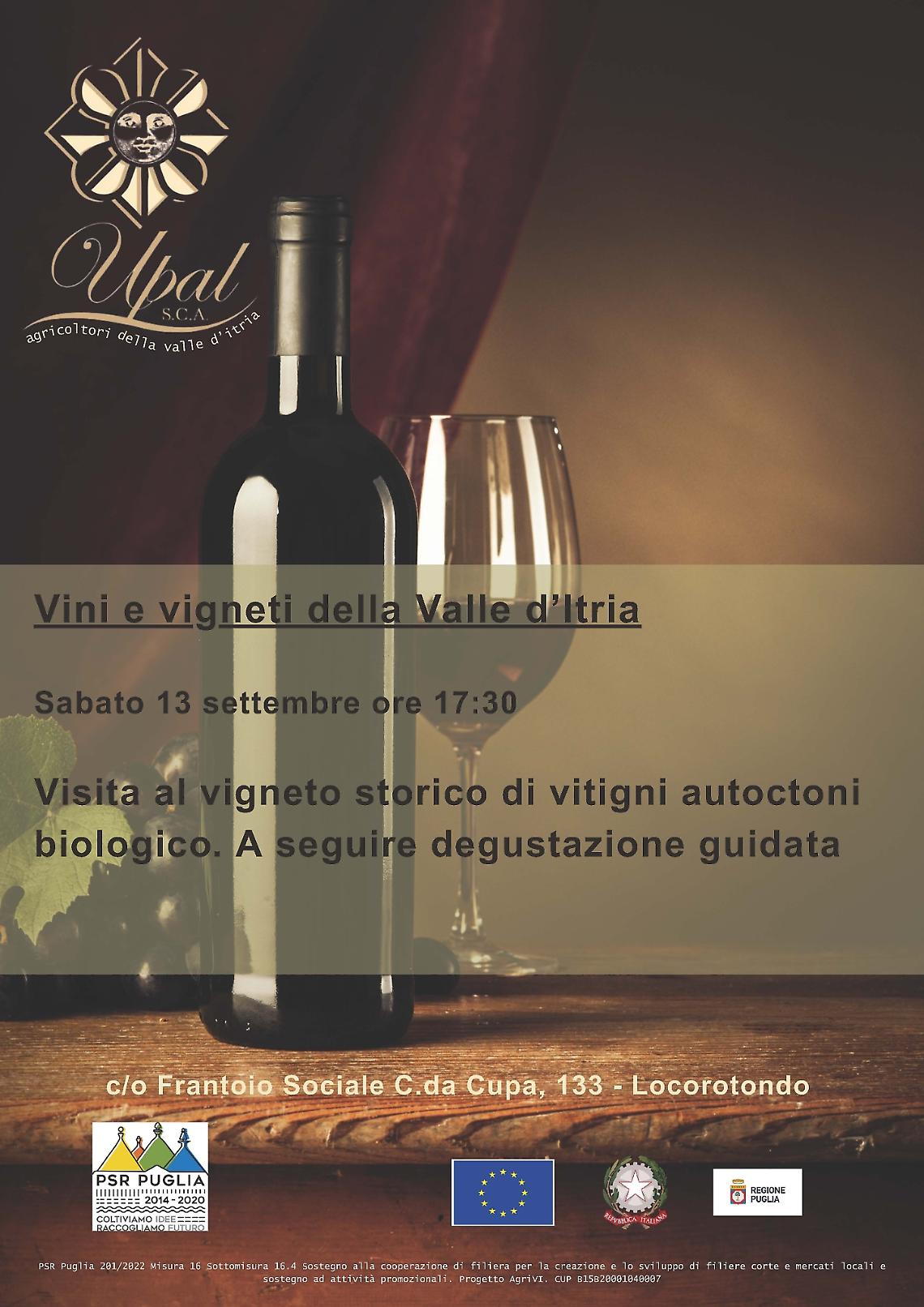 Vini e vigneti della Valle d’Itria