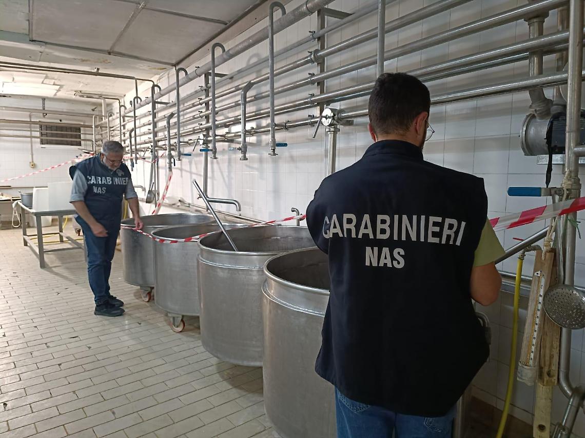 Il Nas dei carabinieri in uno dei due caseifici sequestrati nella Bat 