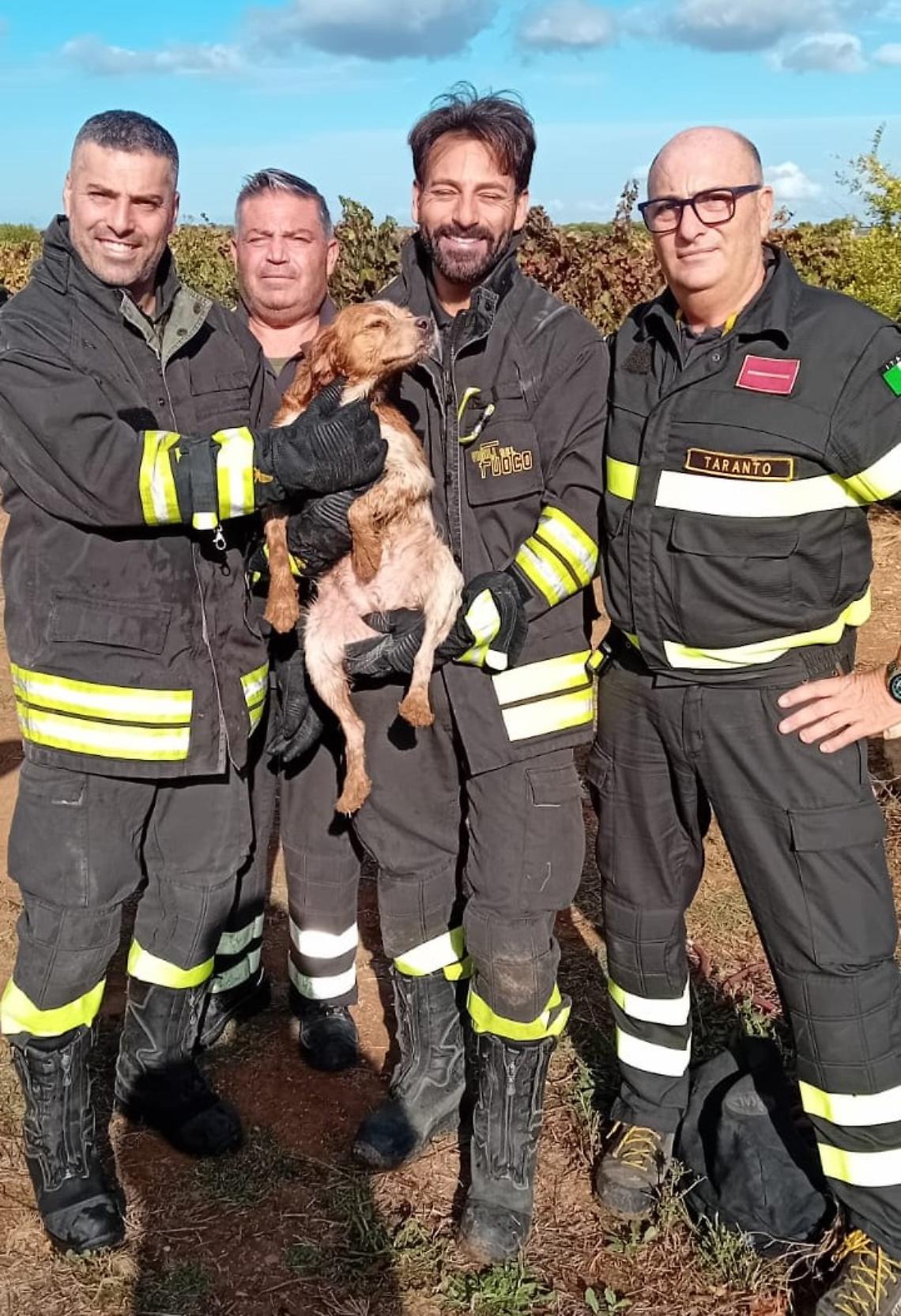 Il momento del salvataggio dei Vigili del Fuoco - foto di Francesco Manfuso