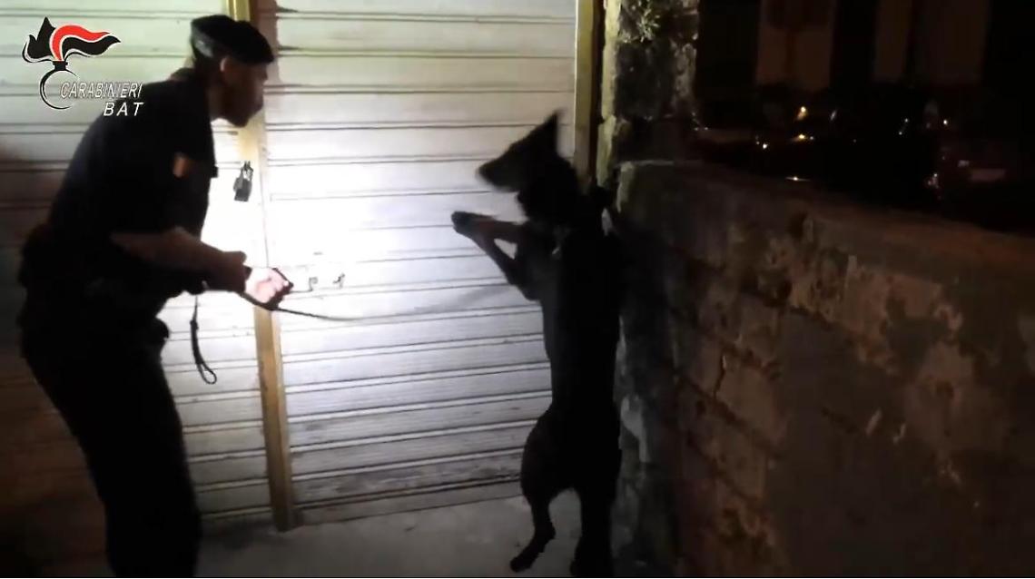 Operazione dei Carabinieri Bat