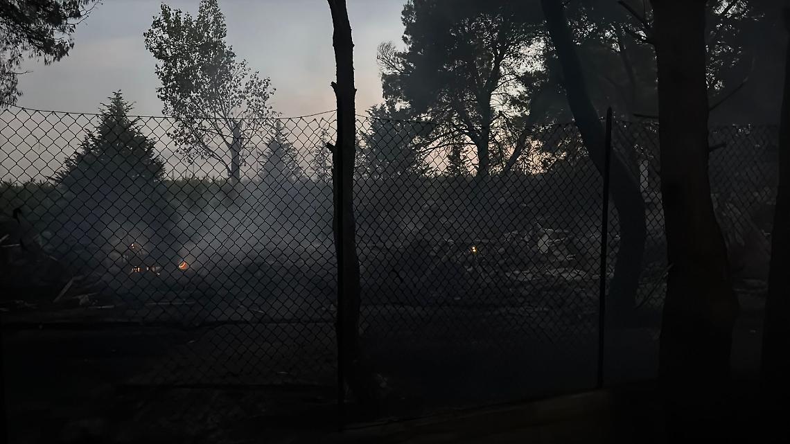 Incendio nella notte nella pineta di Pino di Lenne - foto di Francesco Manfuso
