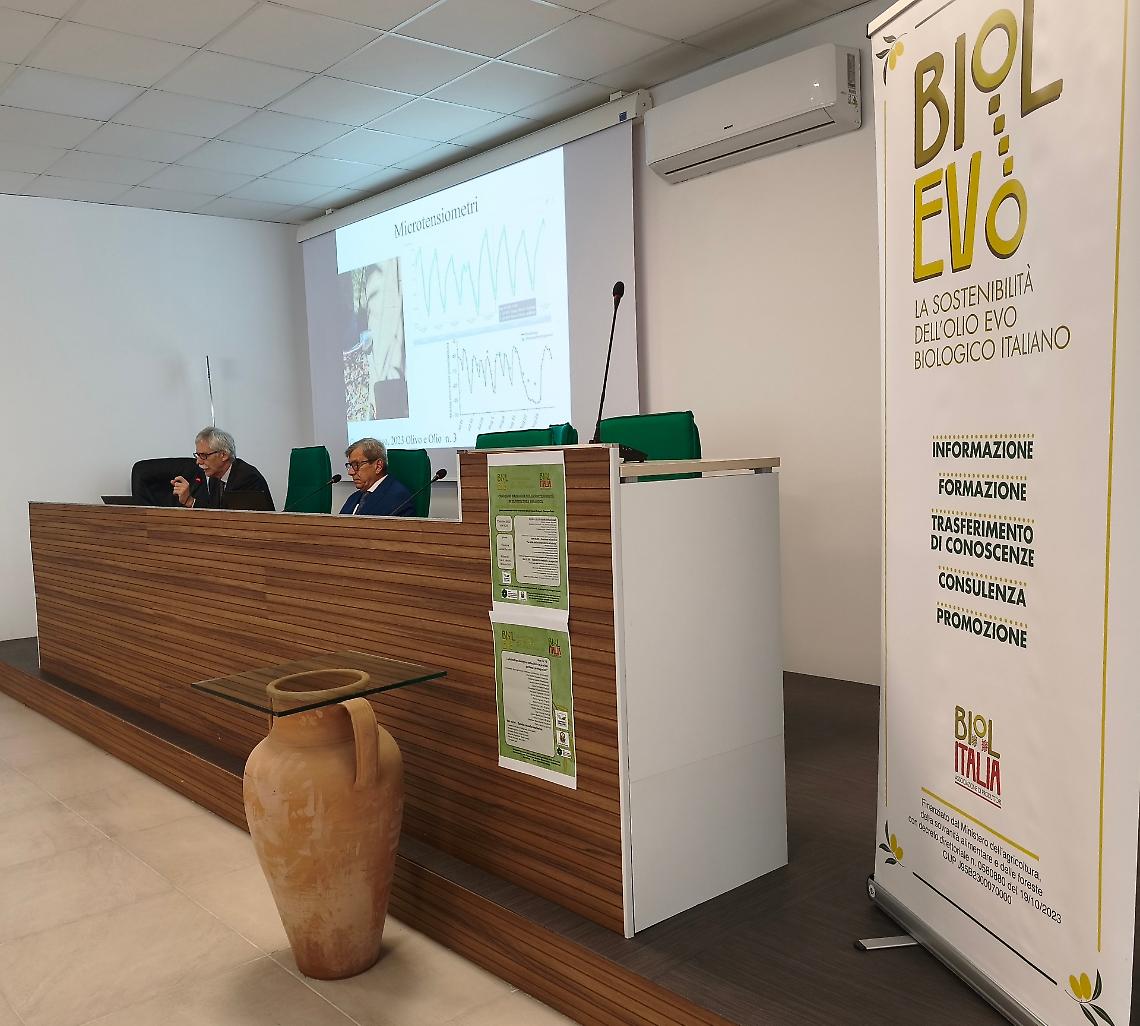 Il Convegno Nazionale a Bitonto sulla Sostenibilità in Olivicoltura Biologica 
