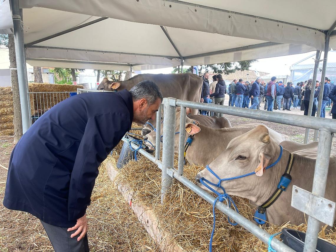 Antonio Decaro a Putignano