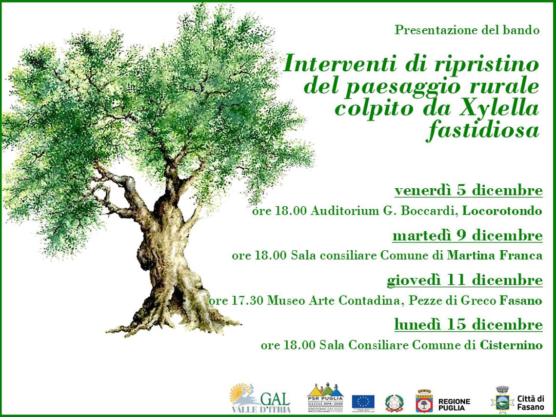 Quattro incontri per rilanciare i territori colpiti dalla Xylella