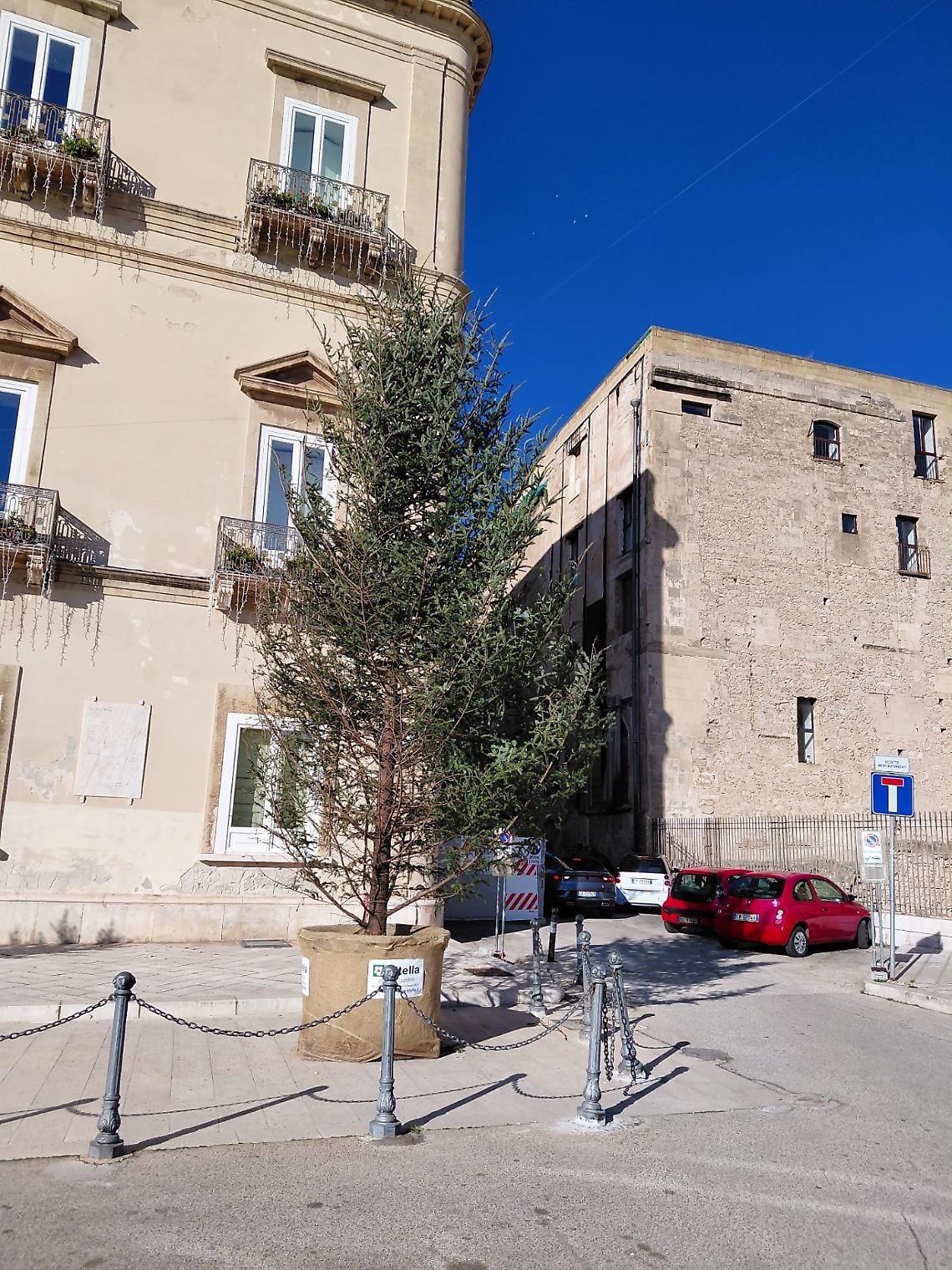 L'albero di Natale dimenticato in piazza Castello a Taranto