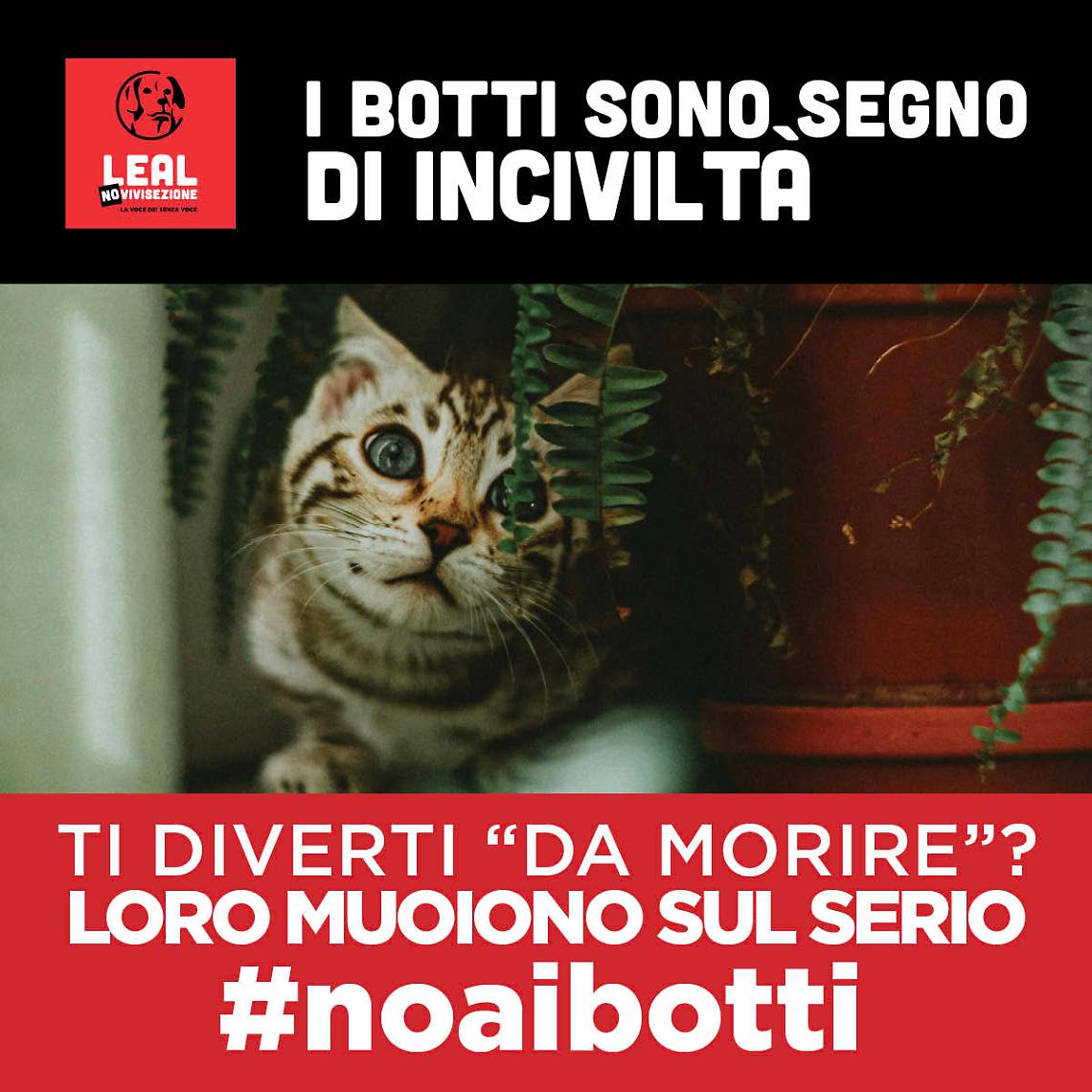 La campagna Leal contro i Botti di Capodanno