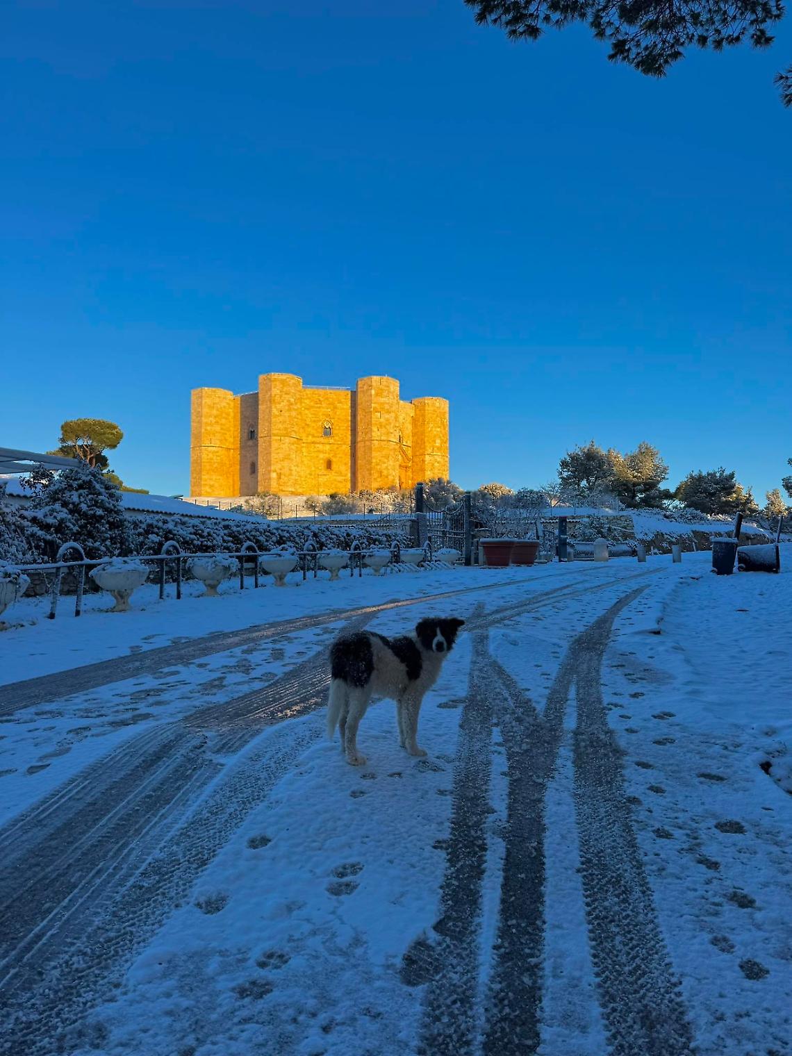 Castel del Monte imbiancato dalla prima neve - foto di Michele Porcelluzzi