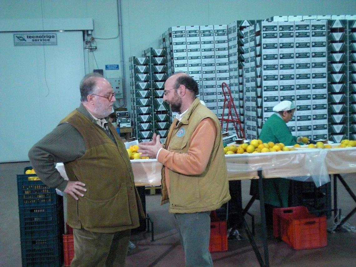 Palagiano su Canale 5, Melaverde racconta la stagione degli agrumi