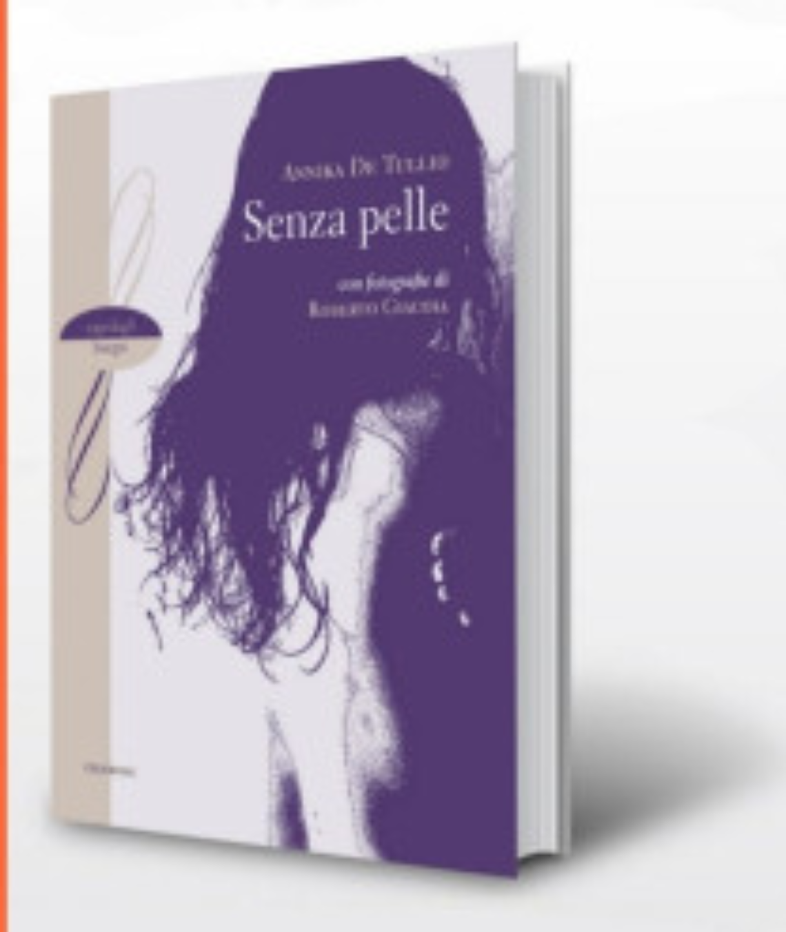 La copertina del libro