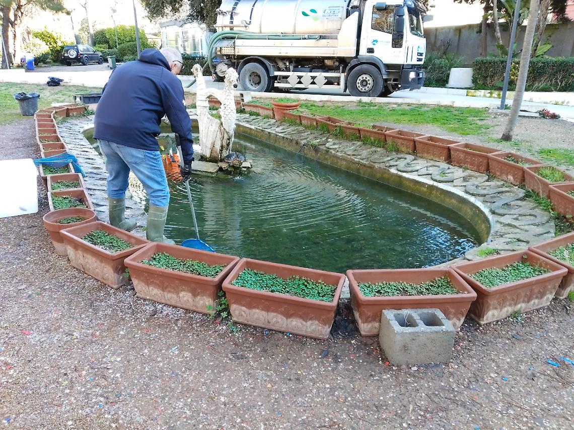 In pericolo le tartarughe della Peripato per i coriandoli nella fontana