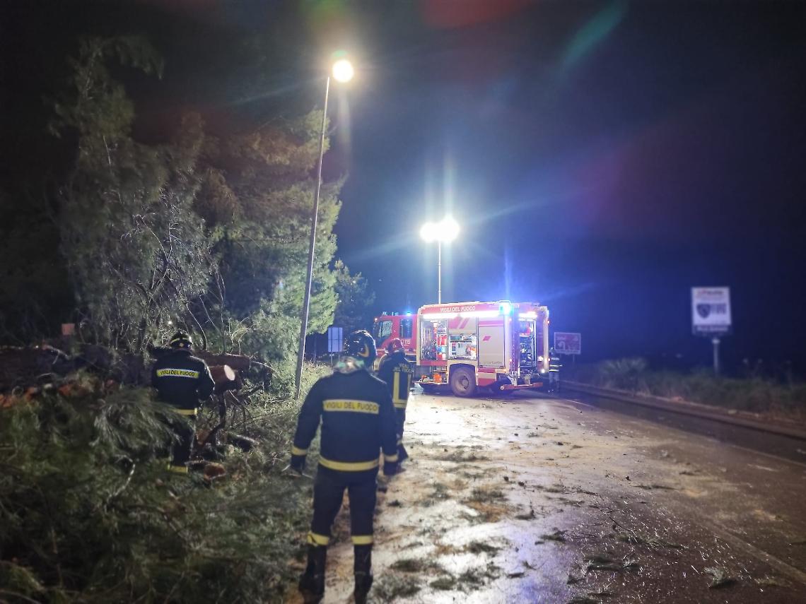 Vento forte nella notte, albero abbattuto al Parco Cimino - foto di Francesco Manfuso