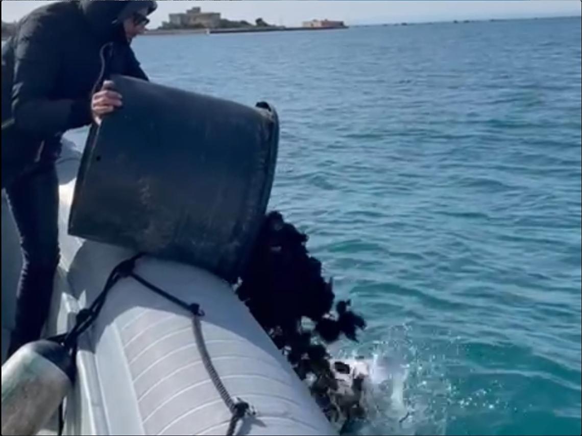 Ricci di mare nascosti in citt&agrave; vecchia, sequestrati 30 chilogrammi