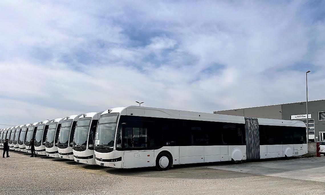 Brt e alberi abbattuti, "Ora trasparenza e un piano delle ripiantumazioni"
