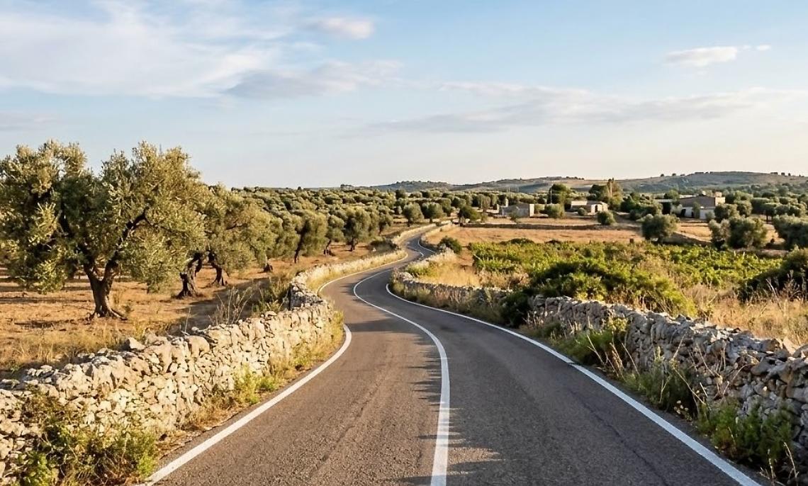 Una strada del Salento - archivio