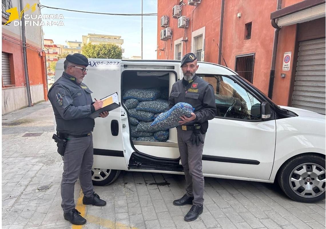 Sequestrata dalla Finanza una tonnellata di molluschi pericolosi