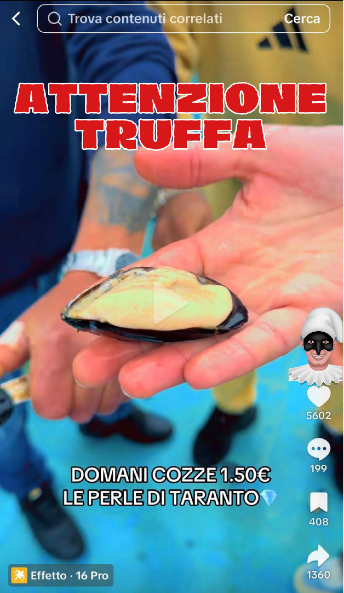 Cozze greche vendute come tarantine, scatta l&rsquo;allarme