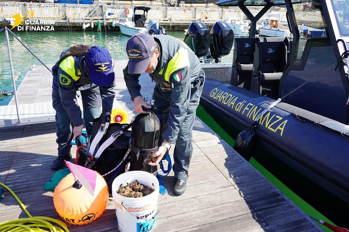 La Guardia di Finanza in azione