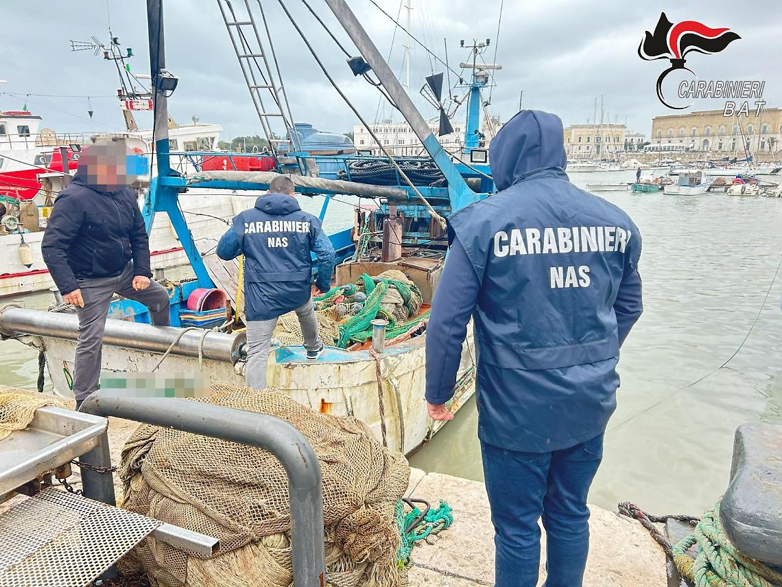 L'operazione dei carabL'operazione dei carabinieri al porto di Trani