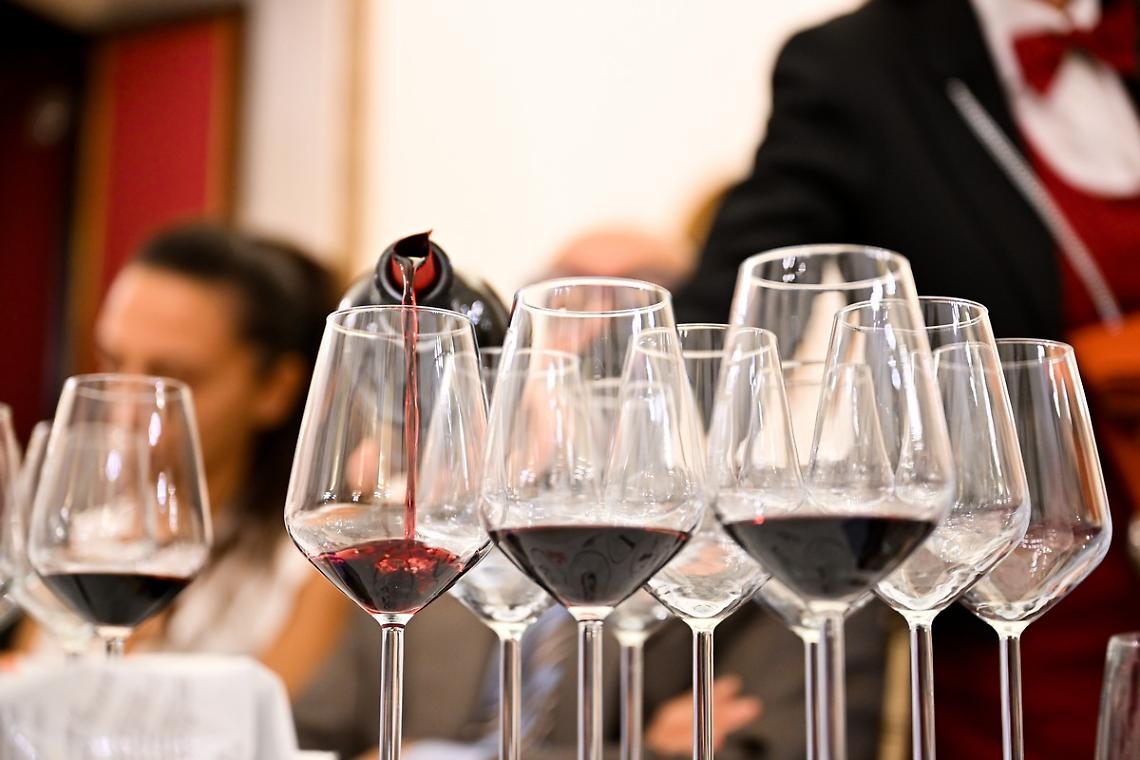 Primitivo di Manduria