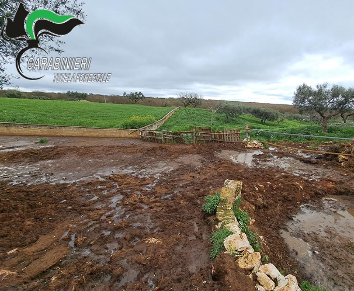 Discarica abusiva tra liquami e carcasse, sequestrata area di 1.800 metri quadri