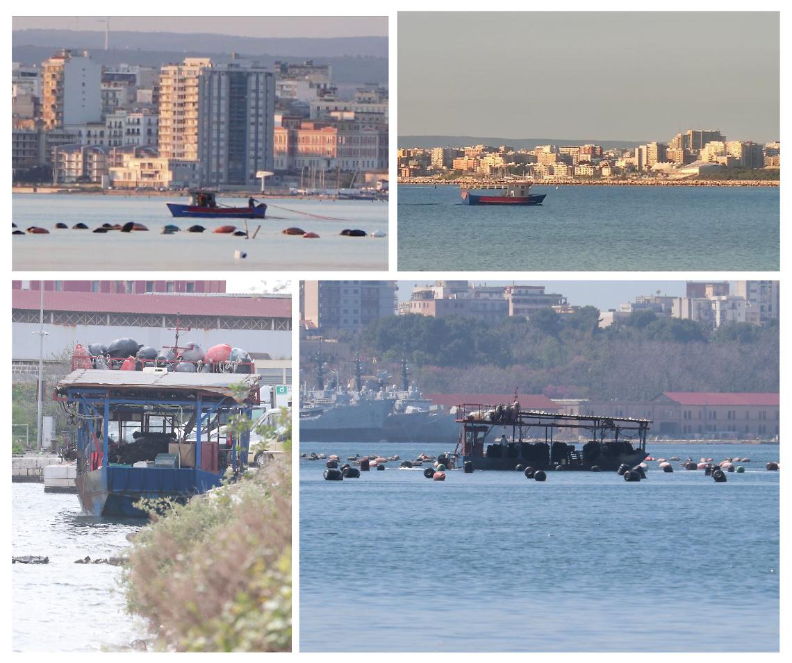 Cozze illegali e pesca abusiva