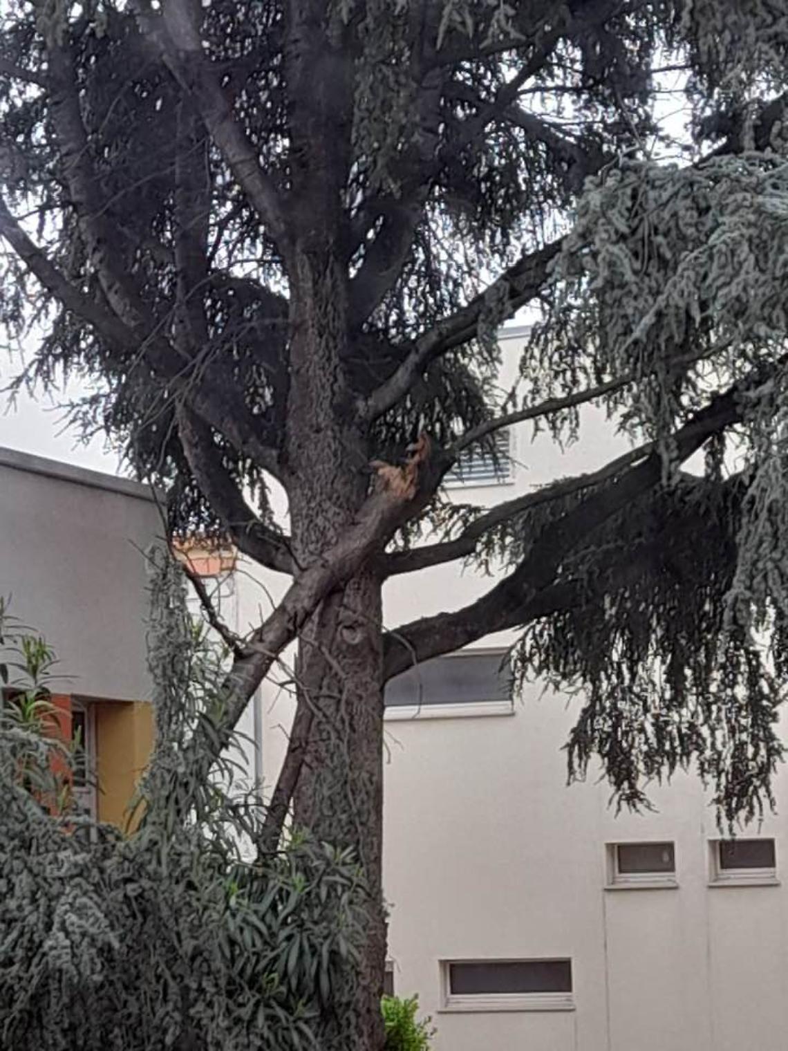 Il ramo spezzato oggi nella scuola San Giovanni Bosco a Bisceglie