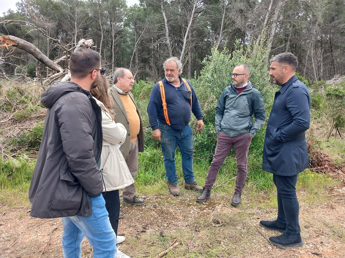 Pineta Frantella, al via i lavori di messa in sicurezza