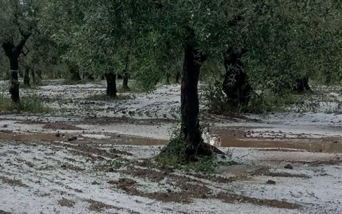 Grandinata nel Tarantino