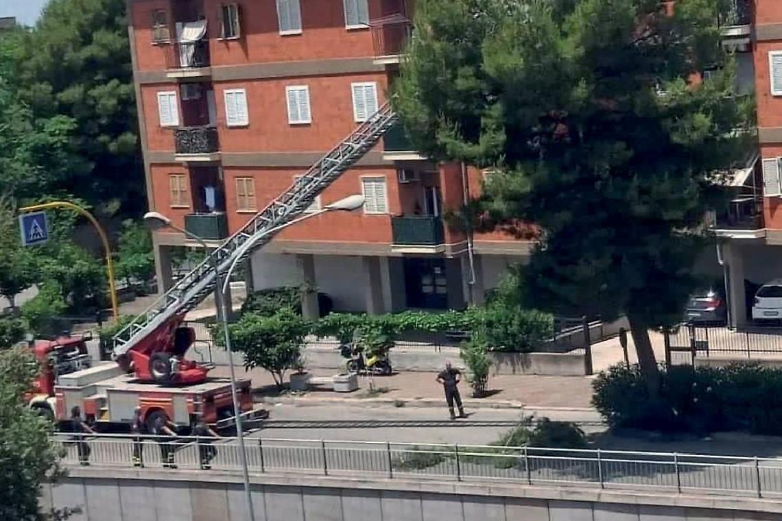 Albero pericolante in via Ancona
