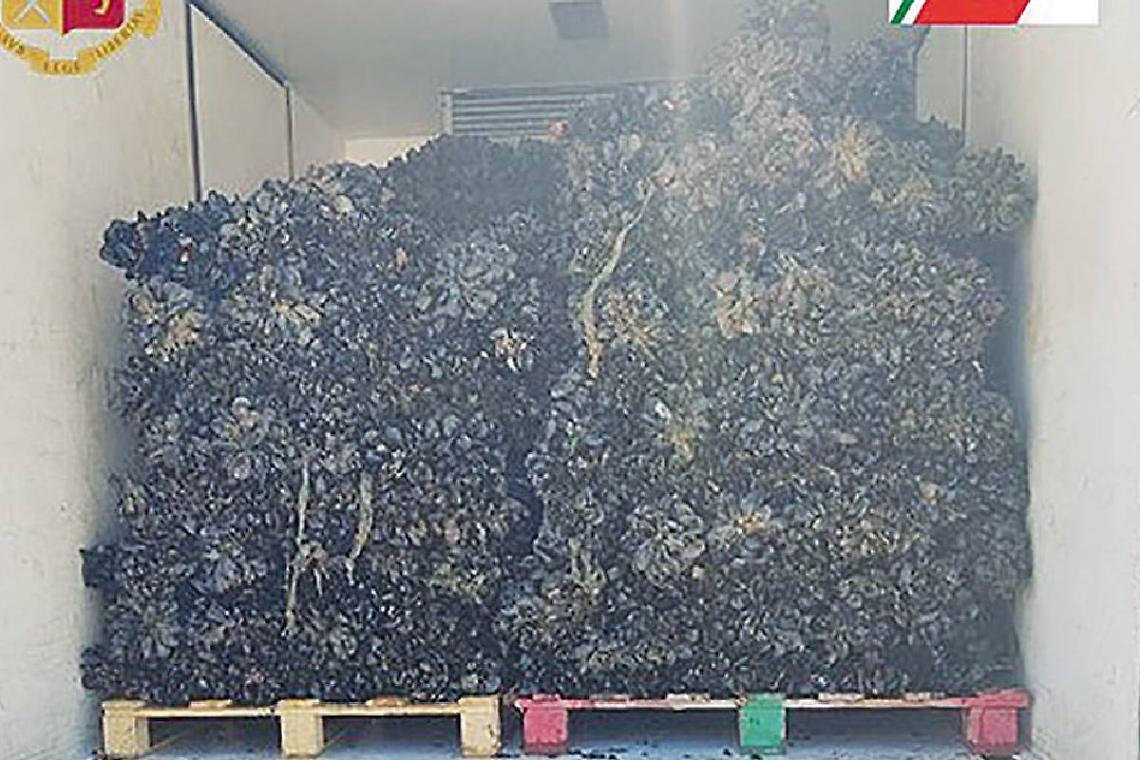 Cozze alla diossina sequestrate