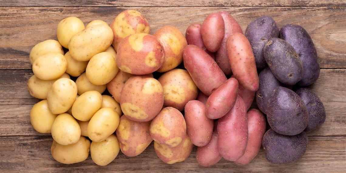 tipi di patate