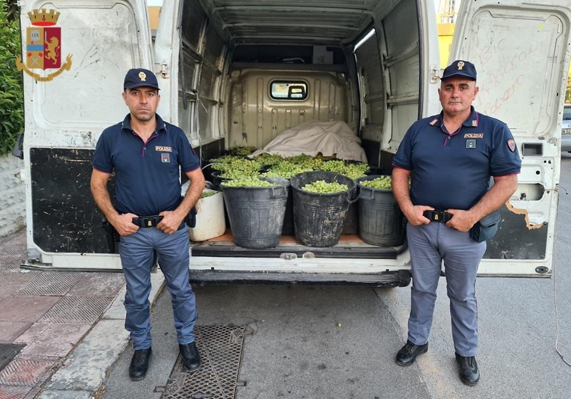 L'uva rubata e recuperata dalla Polizia