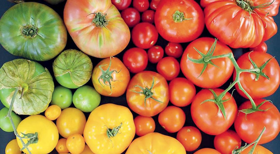 Pomodori