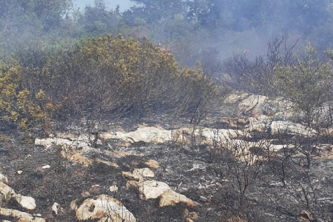 In fiamme la pineta di San Pellegrino a Ginosa
