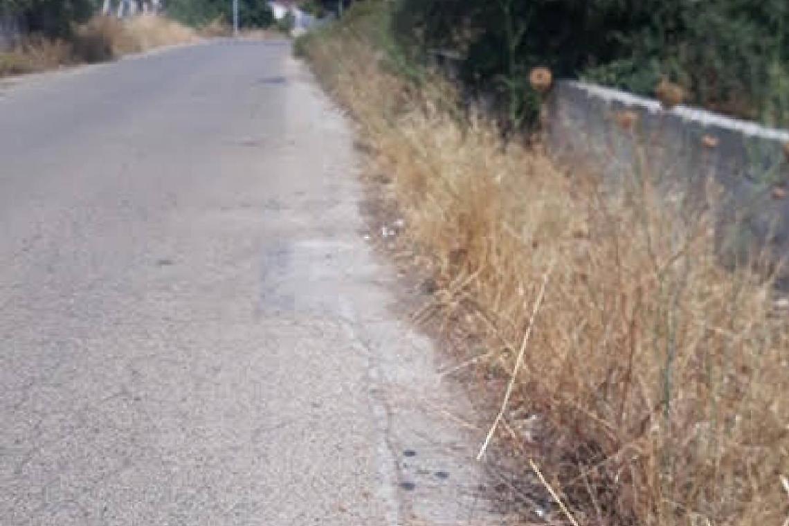 Parte la pulizia straordinaria delle banchine stradali a Pulsano