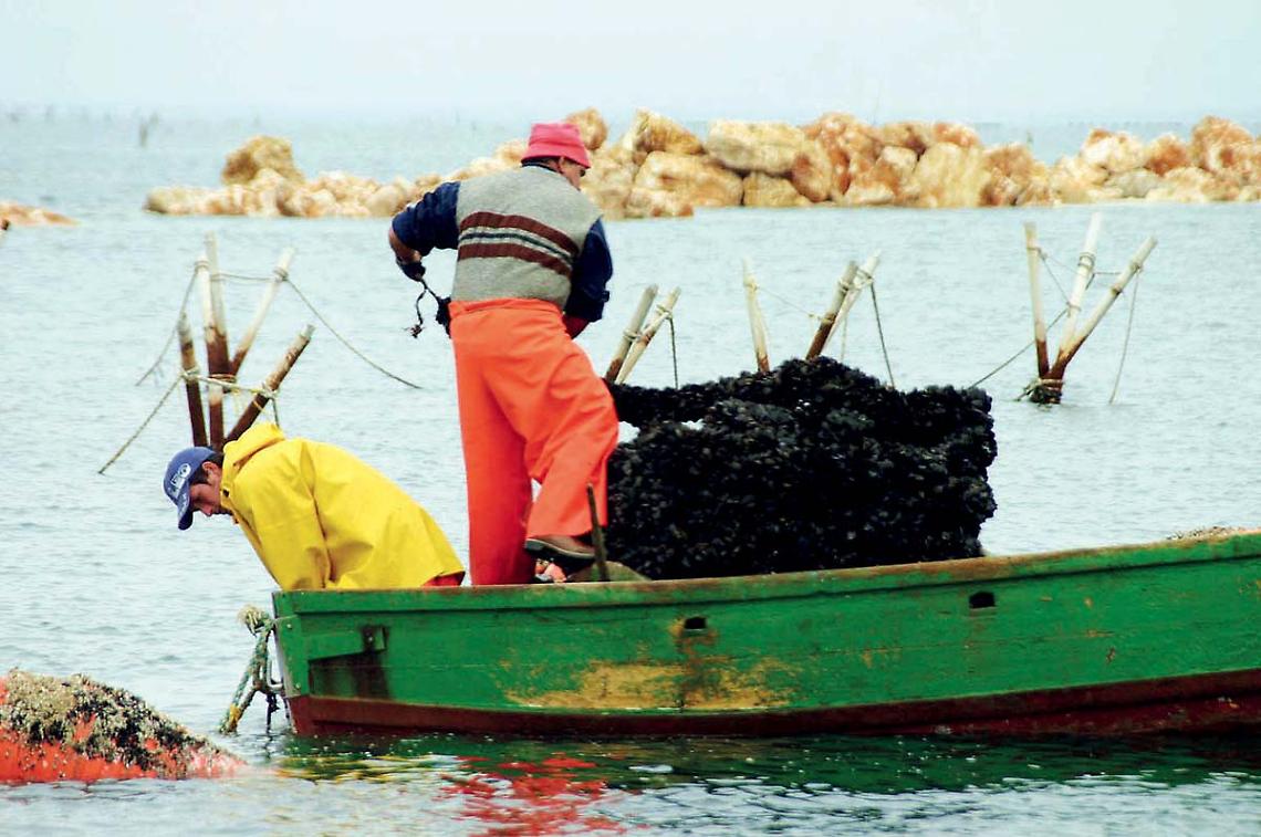 La cozza nera tarantina alla Fiera di Venezia