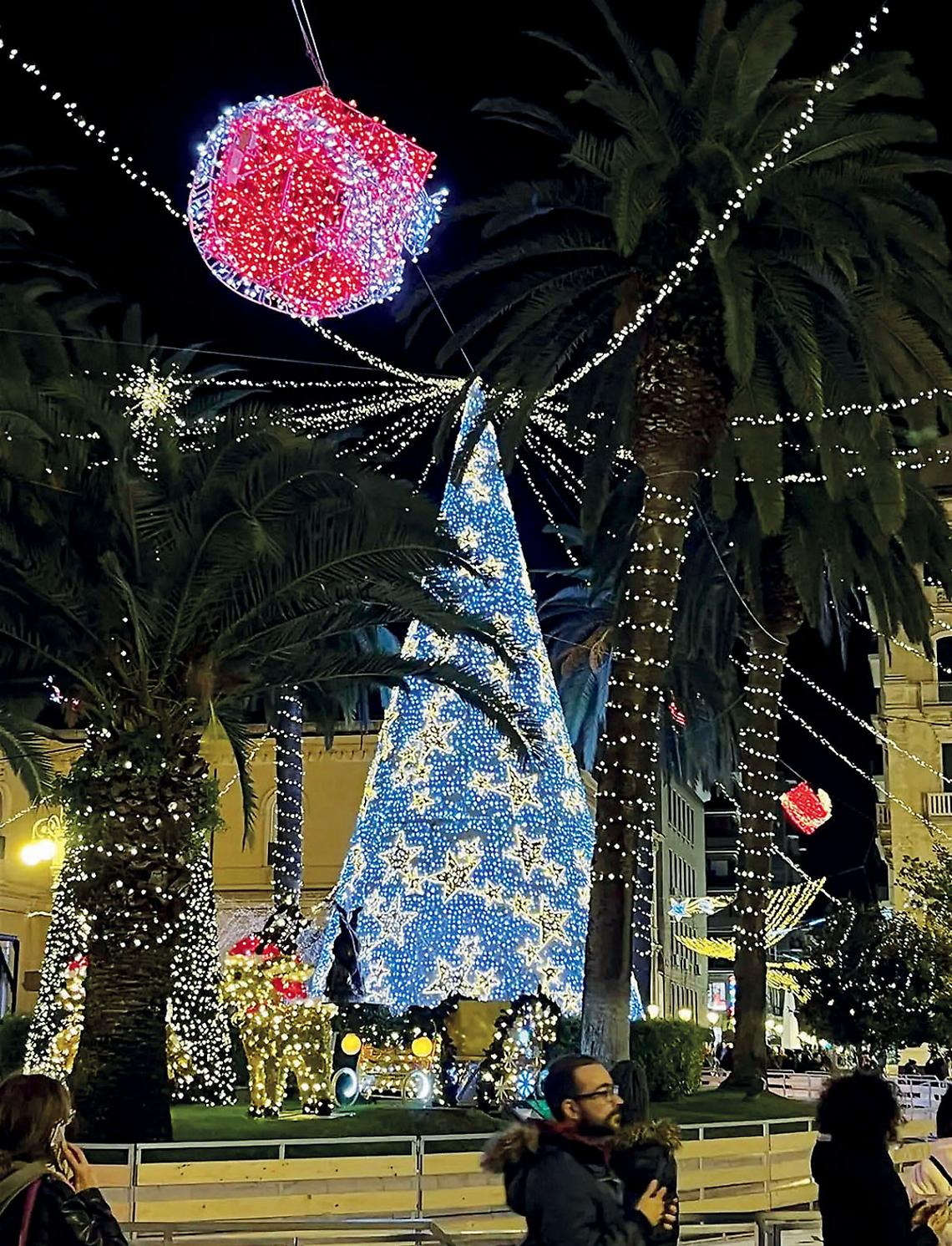 L'Albero di Natale in piazza Immacolata