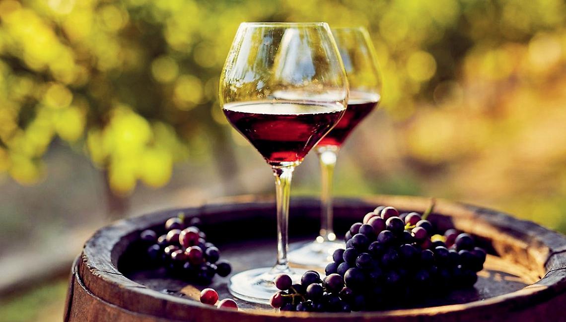 Vino